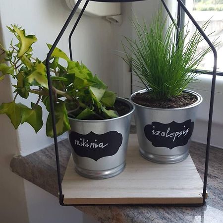 Apartment Greenhouse 오파티아 외부 사진